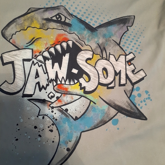 Boys Gray Jawsome‎ Shark Graphic T Shirt Short Sleeve Crew Neck Tee xs 4/5 - Picture 2 of 4